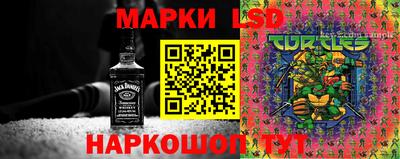 крисы Краснокаменск