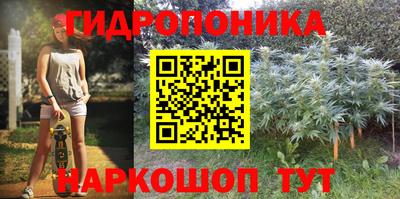 крисы Краснокаменск