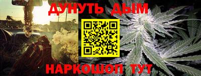 крисы Краснокаменск