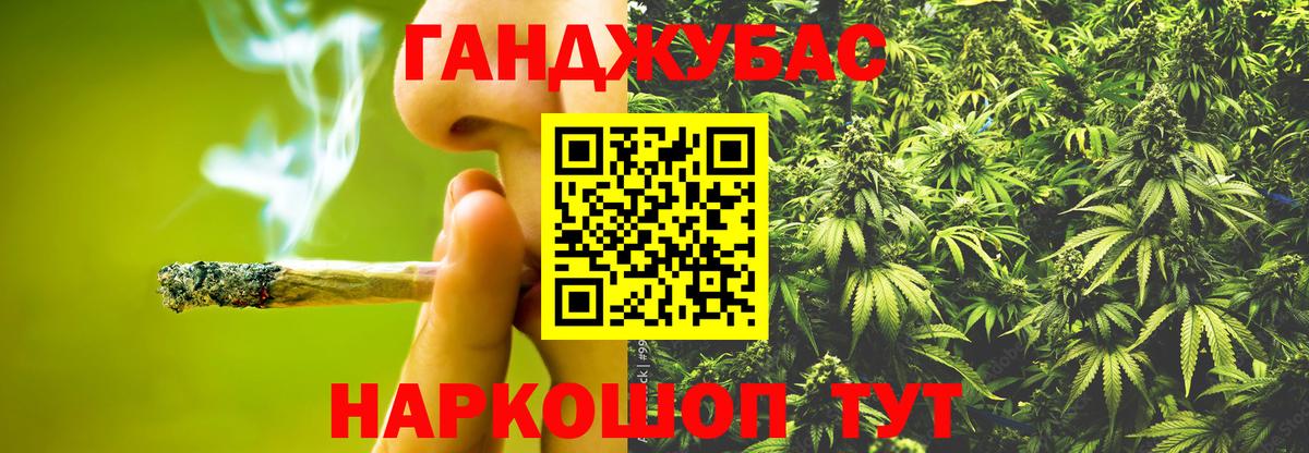 Шишки марихуана планчик  Вход с VPN  Бошки Шишки гибрид  Димитровград 